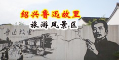 黄片洞洞动态图中国绍兴-鲁迅故里旅游风景区